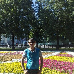 �������, ������, 38 ���