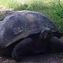 ���� �����, ������, 47 ��� - ��������� 18 ���� 2014 � ������ �������������� ������� 2013�