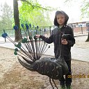 ���� ����, �����, 52 ���� - ��������� 24 ��� 2014 � ������ ��������