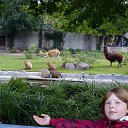  ,  , 23  -  17  2014    