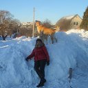 ���� �����, ����������, 64 ���� - ��������� 17 ������ 2014 � ������ ���� ����������