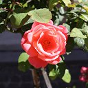 ���� �����, ������ �������� - ��������� 28 ���� 2014 � ������ �2014 ��