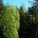 ���� �����, �����, 64 ���� - ��������� 4 ��� 2014 � ������ ������ � �����!�