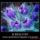 ���� ������, ������ ��������, 55 ��� - ��������� 30 ���� 2014 � ������ ���� ����������