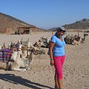 ���� �����, ������������, 61 ��� - ��������� 20 ������� 2014 � ������ �2014-������