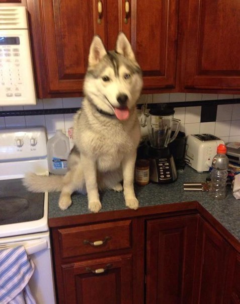 ���� � ���� ����� ���� ��� ���, �� ������ ������ ������ ���������.. ���)