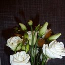  ,  -  7  2014   .. .. ...