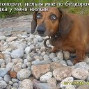 ���� �����, ������ - ��������� 6 ������ 2014 � ������ ������ ��������