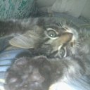 ���� ������, ������, 60 ��� - ��������� 7 ������ 2014 � ������ ���� ����������