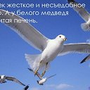 ���� �, ������ - ��������� 5 ������ 2014 � ������ ������ ��������