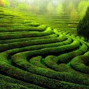 ���� �e� �, ������, 55 ��� - ��������� 16 ����� 2014 � ������ ���� ������