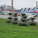 ���� ������, �������� - ��������� 25 ����� 2014 � ������ ���� ����������