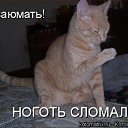���� ������, ���������, 42 ���� - ��������� 11 ������ 2014 � ������ �����������