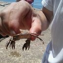 ���� ����, ����, 48 ��� - ��������� 24 ��� 2014 � ������ ������ ��������