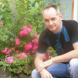 ��������, ������, 50 ���