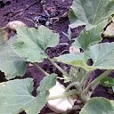 ���� ��������, ������ - ��������� 12 ������� 2014 � ������ ������ ��������