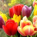 ���� ������� ,���� �����, ����� - ��������� 12 ��� 2014 � ������ �����