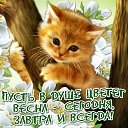 ���� ������, ������, 64 ���� - ��������� 16 ���� 2014 � ������ ������ ��������