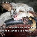 ���� �������, �������-��������� - ��������� 2 ������ 2014 � ������ ������ ��������