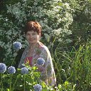 ���� �����, ����, 65 ��� - ��������� 7 ���� 2014 � ������ ���� ����������