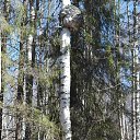 ���� ��������, ������, 51 ��� - ��������� 13 ������ 2014 � ������ ���� ����������