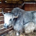 ���� ���������, ������, 44 ���� - ��������� 12 ���� 2014 � ������ ���� ����������