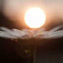 ���� ��������, �������, 51 ��� - ��������� 12 ���� 2014 � ������ ������ ��������