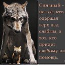 ���� ���������, ������, 74 ���� - ��������� 8 ���� 2014 � ������ ������ ��������
