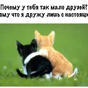 ���� ���������, ���������, 49 ��� - ��������� 30 ��� 2014 � ������ ������ ��������