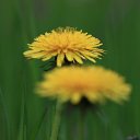  C, , 67  -  13  2014    