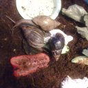 ���� �������, �����-���������, 64 ���� - ��������� 19 ���� 2014 � ������ ���������