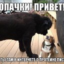 ���� �����, �������, 41 ��� - ��������� 21 ������� 2014 � ������ ���� ����������