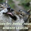 ���� �����, ������ - ��������� 13 ������ 2014 � ������ ������ ��������