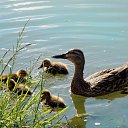 ��� ����� ����� �������) 3.07.2014 �� ������� ������� ��������)))�