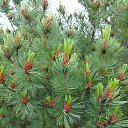 ���� ������, ����������, 66 ��� - ��������� 18 ������� 2014 � ������ ������ ��������