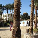 ���� ������, ������, 61 ��� - ��������� 6 ��� 2014 � ������ ���� ����������