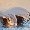 ���� �������, ������ �������, 49 ��� - ��������� 20 ������� 2014 � ������ ������ ��������