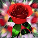 ���� Elena, ��������, 56 ��� - ��������� 25 ���� 2014 � ������ ���