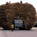 ���� Tolikrostov, ������-��-����, 31 ��� - ��������� 27 ���� 2014 � ������ ������ ��������
