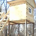 ���� ��������, ��������, 40 ��� - ��������� 20 ������� 2014 � ������ ���� ����������