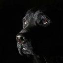  Gelya   20, , 57  -  14  2014   ...