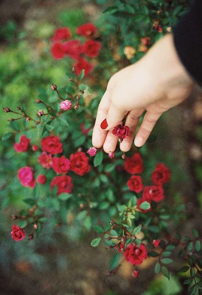 Не делай больно никому, Не заставляй людей страдать. Пошлет спасенье Бог тому, Кто сможет все душой ... - 3
