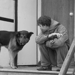 ����, ������������