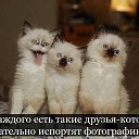 ���� �������, ���������, 38 ��� - ��������� 29 ������ 2014 � ������ ���� ����������
