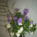 ���� �������, ����������, 50 ��� - ��������� 14 ���� 2014 � ������ ���� ��������