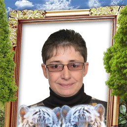 ����, ���������, 51 ���