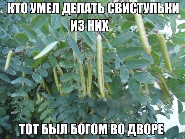 ����������� (18+) - 17 ��� 2014 � 20:03