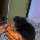 ���� �����, �������������, 65 ��� - ��������� 12 ���� 2014 � ������ ������� � �� �����߻