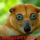 ���� ������, �����, 34 ���� - ��������� 30 ���� 2014 � ������ ������ ��������