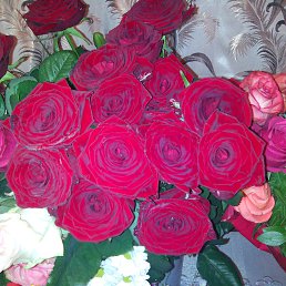 ���� ����, �����, 55 ��� - ��������� 23 ��� 2014